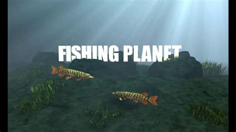 Fishing Planet Youtube