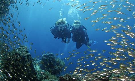 Discover Scuba Diving Session London School Of Diving Groupon