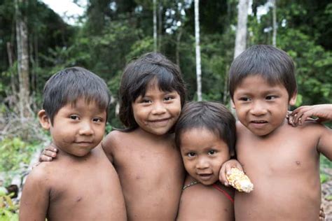 The Isolated Tribes At Risk Of Illness From Amazon Missionaries Global Health The Guardian