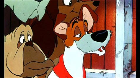 Dodger And The Gang Oliver And Company S Dodger Image Fanpop