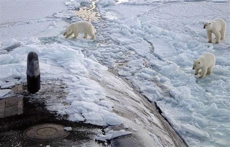 Russia Breaks Arctic Pledge After Stripping Nature Reserves Of State