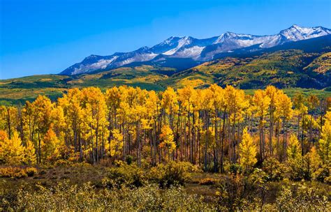 Best Rocky Mountain Hikes For Fall Foliage