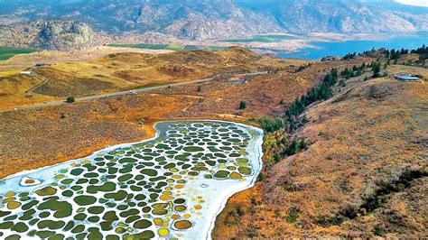 A Feast For The Eyes The Spotted Lake Ghawyy