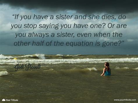 Amazon advertising find, attract, and Quotes about Sister who passed away (16 quotes)