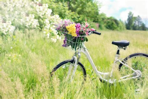 free images grass lawn meadow prairie countryside flower bicycle summer spring green