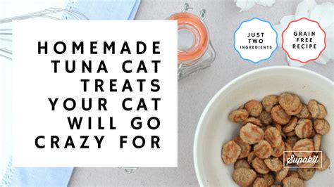 With these homemade recipes for pets both cats and dogs can enjoy, you are sure to find some favorites in our list of ideas. Homemade Grain-Free Tuna Cat Treats | Recipe | Cat treats ...