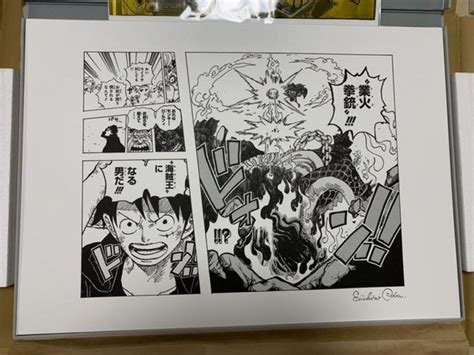 One Piece Manga Autographed 1000 Episodes Limited Edition Eiichiro Oda
