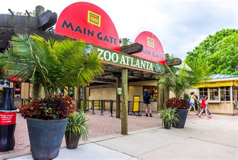 Visit Zoo Atlanta Get Zoo Info Insider Tips And Ticket Discounts