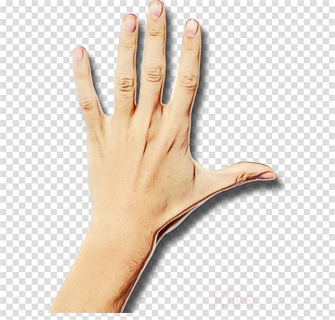 Arm Clipart Wrist Arm Wrist Transparent Free For Download On