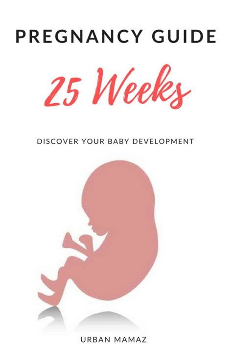 25 Weeks Pregnant Urban Mamaz