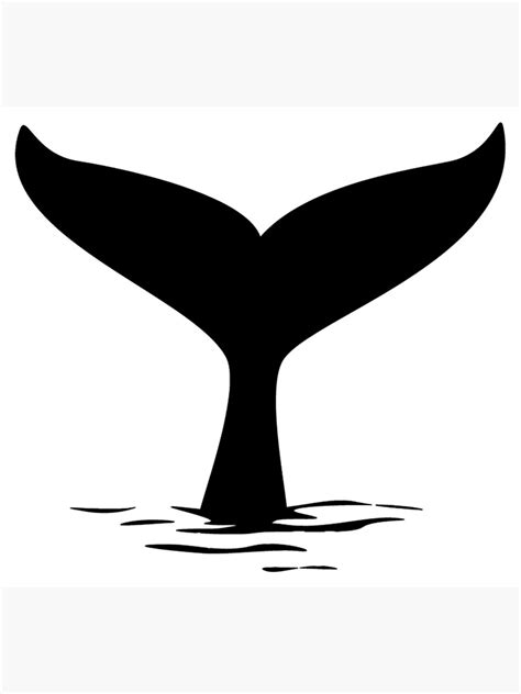 Whales Tail Silhouette Poster For Sale By Aaronisback Redbubble