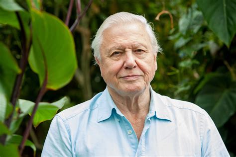 Sir David Attenborough Warns Of A Critical Summer For Butterflies