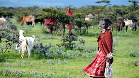 To The Maasai The Land Is An Ancestral Asset Fundamental To Their Pastoralist Lifestyle But The