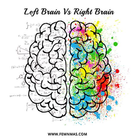 Left Brain Vs Right Brain Balance Both The Hemispheres