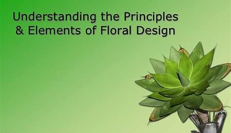 principles of floral design book
