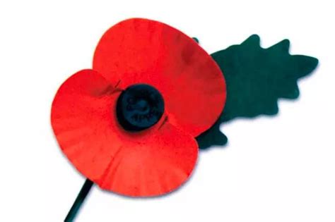 Remembrance Sunday List Of Services In Huddersfield And Kirklees