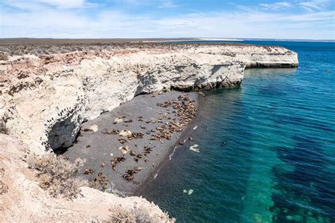 You can build your own program and we take care of coordinating everything. Península Valdés: ubicación, clima, turismo, playas, flora ...