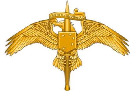 Marine Special Operators Get Their Own Insignia Pin Military Trader