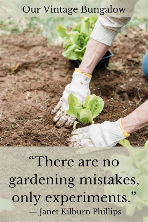 70 Funny And Inspiring Vegetable Gardening Quotes Our Vintage Bungalow
