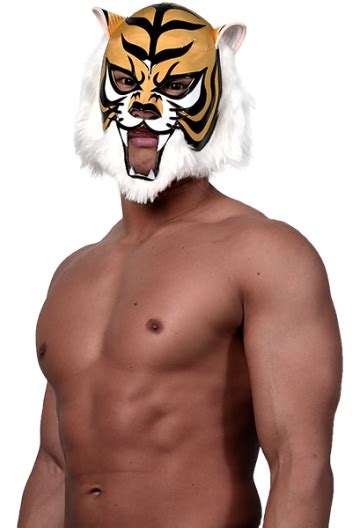 Tiger Mask W W New Japan Pro Wrestling