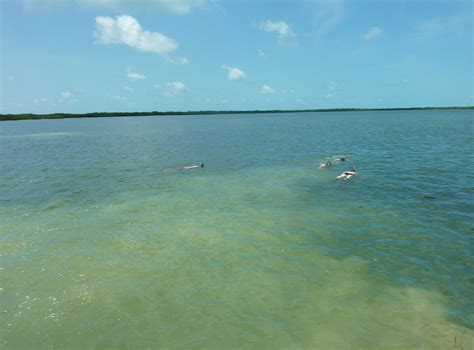 Marine Biology 2016 Arrival In The Florida Keys Goshen College Blogs