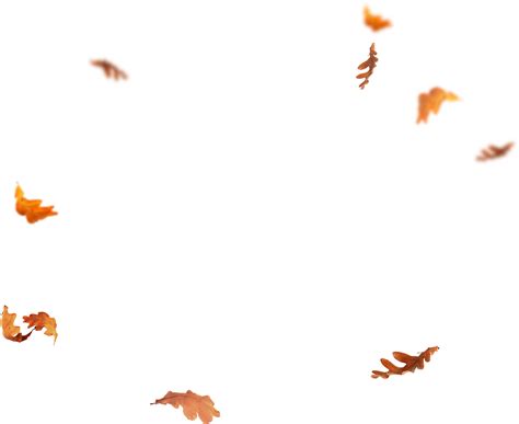 Autumn leaf color is a phenomenon that affects the normal green leaves of many deciduous trees and shrubs by which they take on, during a few weeks in the autumn season, various shades of yellow, orange, red, purple, and brown. download falling leaves png images - flying autumn leaf ...