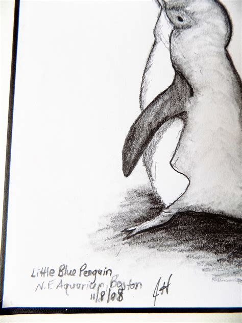 Share More Than 79 Penguin Pencil Drawing Best Vn