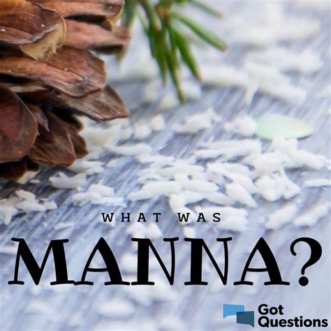 What Was Manna