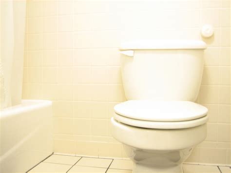 Toilet Free Photo Download Freeimages