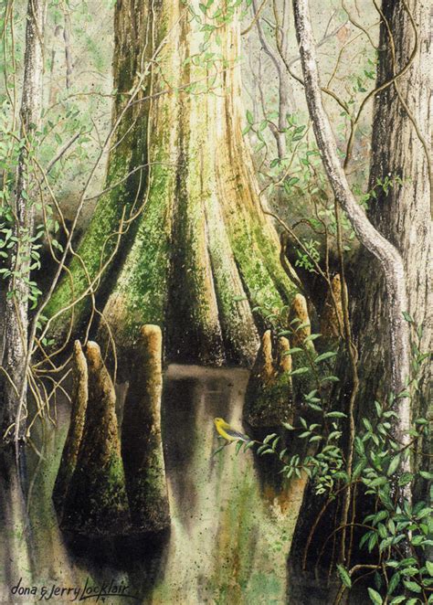 Jun 29, 2021 · silver prices are lower on tuesday, losing over 1.2% with spot xag/usd currently at $25.78 and have ranged between a low of $25.52 and a high of $26.1 Art Prints by Dona & Jerry Locklair - Low Country Oaks
