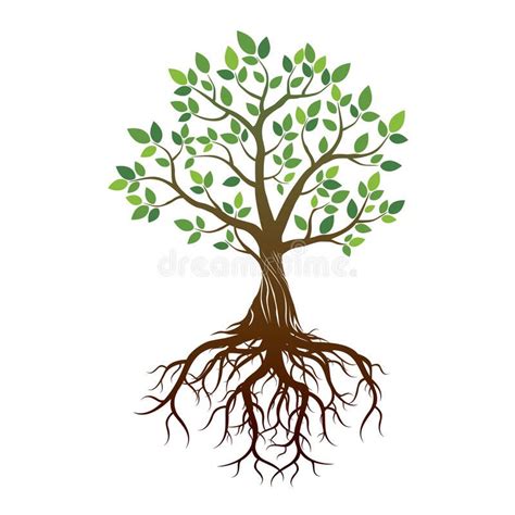 Tree With Roots Clipart Morton Oshea