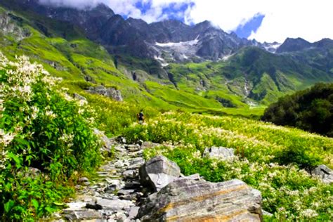 The Cultural Heritage Of India The Heavenly Hemkund Valley Valley Of