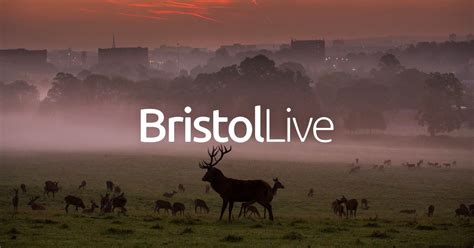 Bristol Live Breaking News Traffic And Travel Including M4 M5 And