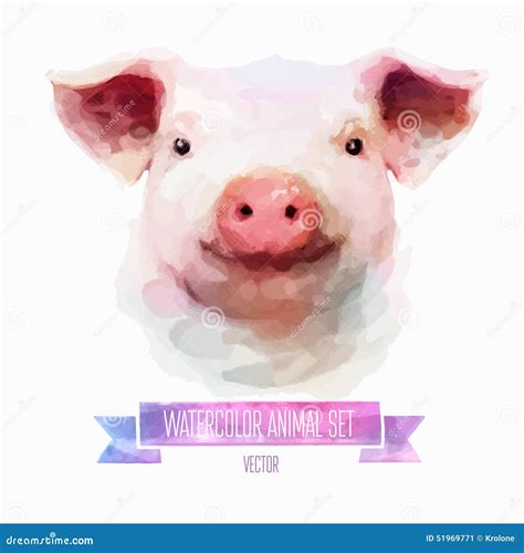 Vector Set Of Watercolor Illustrations Cute Pig Stock Vector