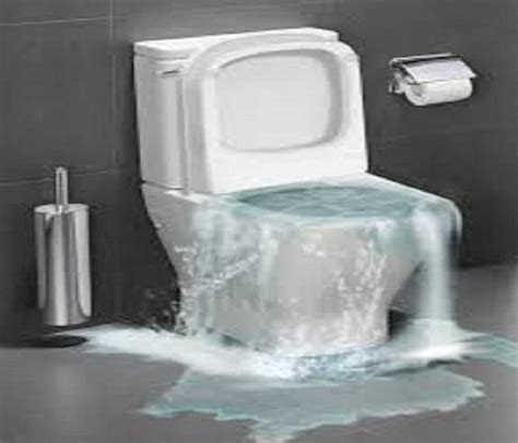 The Rising Waters Toilet Overflow And What To Do About It