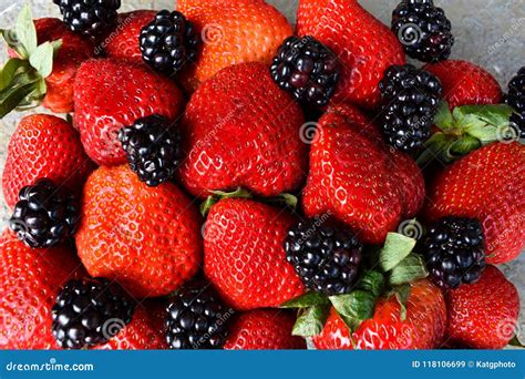 Fresh Colorful Berries Stock Image Image Of Leaf Blackberries 118106699