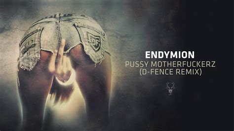 Endymion Pussy Motherfuckerz D Fence Remix Youtube