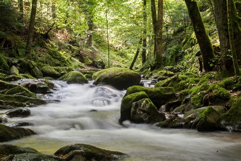 Images Gratuites Eau La Nature Roche Cascade Ruisseau Région