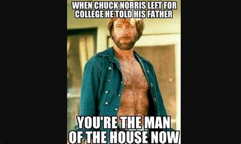 the 20 best chuck norris memes