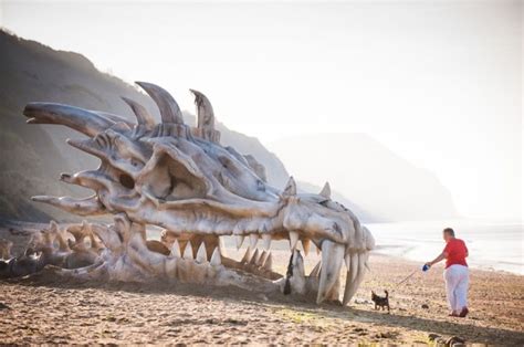 Video Discovered A Skeleton Of A Dragon Of 18 Meters In China Real