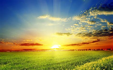 Download Spring Morning Wallpaper Top Background By Michaeltucker