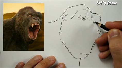 ASMR Drawing King Kong How To Draw King Kong LET S DRAW