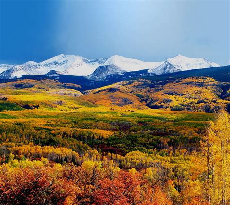 Crested Butte Fall Autumn Snow Cappedcrested Grass Golden Trees