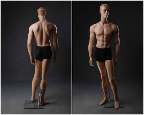 Muscular Realistic Male Mannequin The Best Selection Of Royalty Free