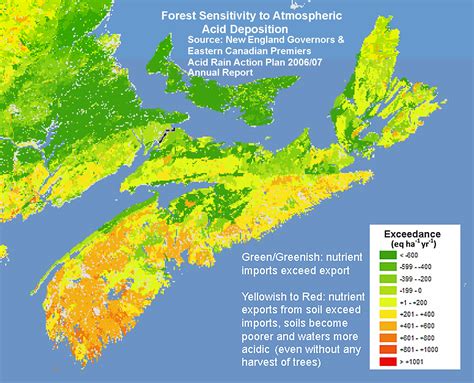 Nova Scotia Forests At Risk