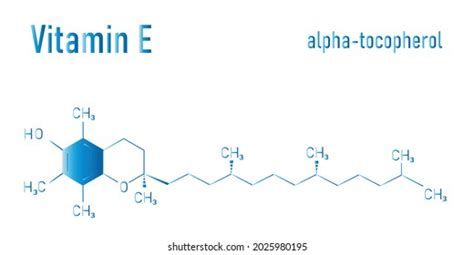 Vitamin E Alpha Tocopherol Molecule Skeletal Stock Vector Royalty Free