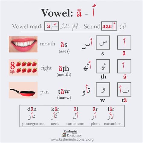 Vowel 04: ٲ / ä - (aae) - Kashmiri Dictionary