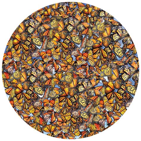 Monarch Frenzy 1000 Piece Round Jigsaw Puzzle Spilsbury