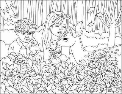 Coloring Pages Nicole Therapeutic Forest Printable Adult