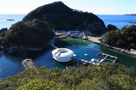 Shimoda Floating Aquarium｜the Gate｜japan Travel Magazine Find Tourism